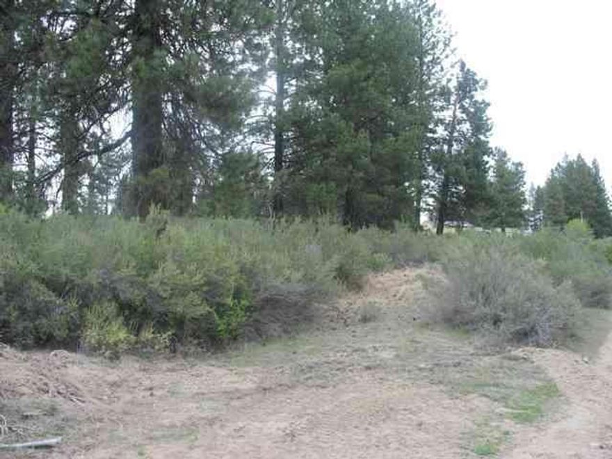 Great 2.53 Acre Lot With Lots Of Trees & An Uphill Slope. Not Far Off Hwy 97 & Close To Chiloquin. Best Price Out There Right Now. Seller Is Not Willing To Owner Carry.