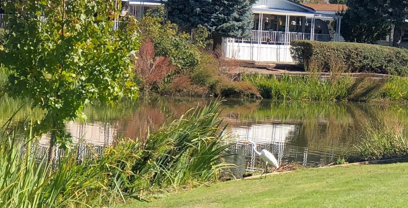 Rogue Lea Estates - Residential