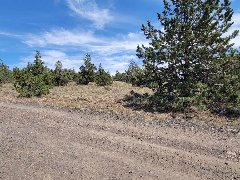 Prineville Lake Acres 2 - Land