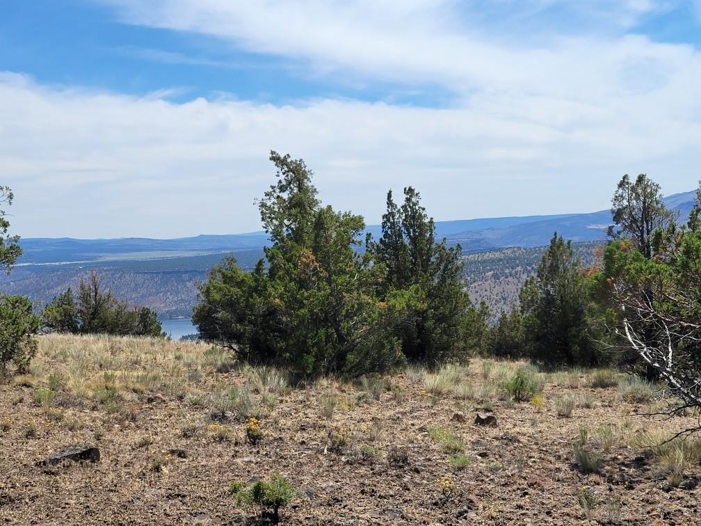Prineville Lake Acres 2 - Land
