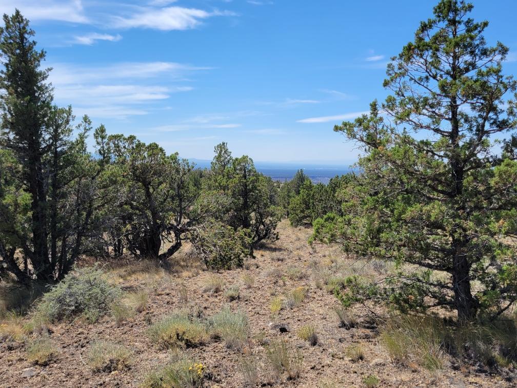 Prineville Lake Acres 2 - Land