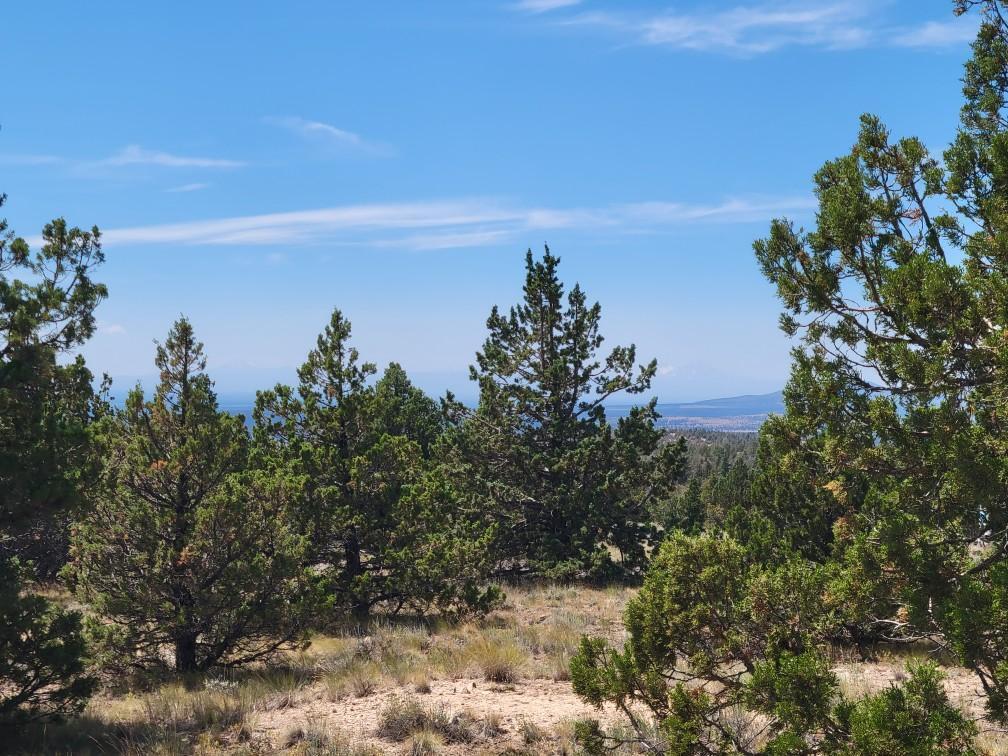 Prineville Lake Acres 2 - Land
