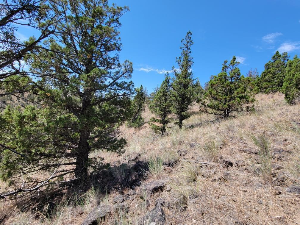 Prineville Lake Acres 2 - Land
