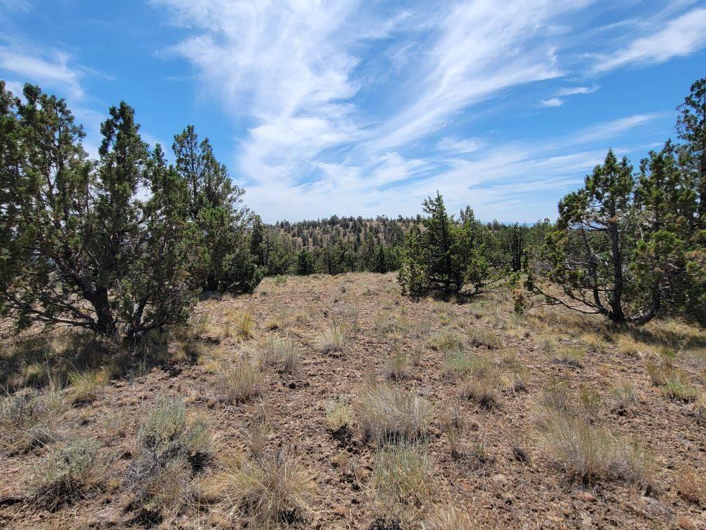 Prineville Lake Acres 2 - Land