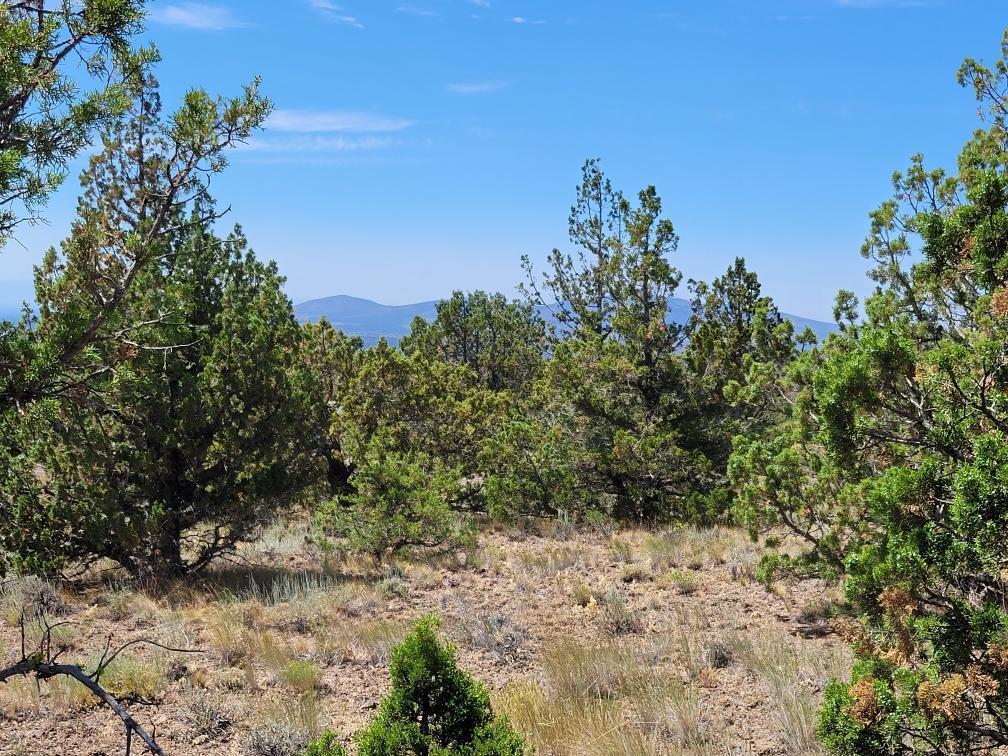 Prineville Lake Acres 2 - Land