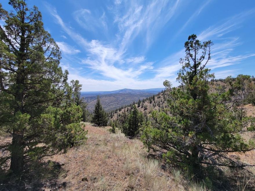 This buildable parcel offers the ability to build a home, that if positioned in the right spot would have amazing views both looking west at the Cascades and south overlooking Prineville Reservoir. This parcel is approx 25 minutes south of downtown Prineville. A must see property as the pictures do not capture the full realization of the views! Located close to BLM, for a variety of recreational activities. The property is within the Prineville Lake Acres II subdivision and although the CCR's apply, there are no HOA/road association fees or the SDC at closing. This is in an off-grid area, ideal for both solar and wind. Additional maps and information on the area are available upon request.