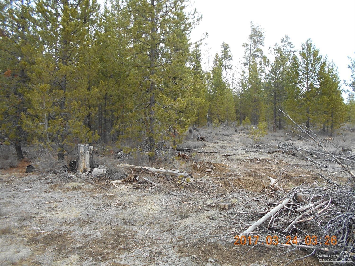 Terra De Oro Est - Land