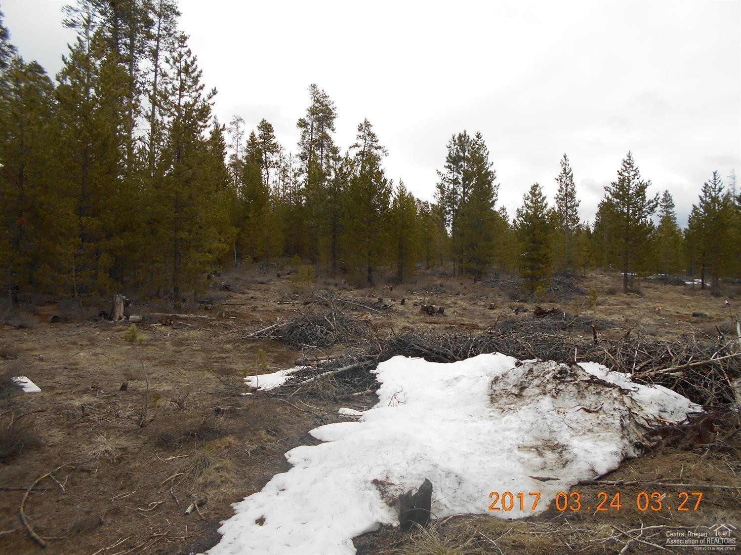 Terra De Oro Est - Land