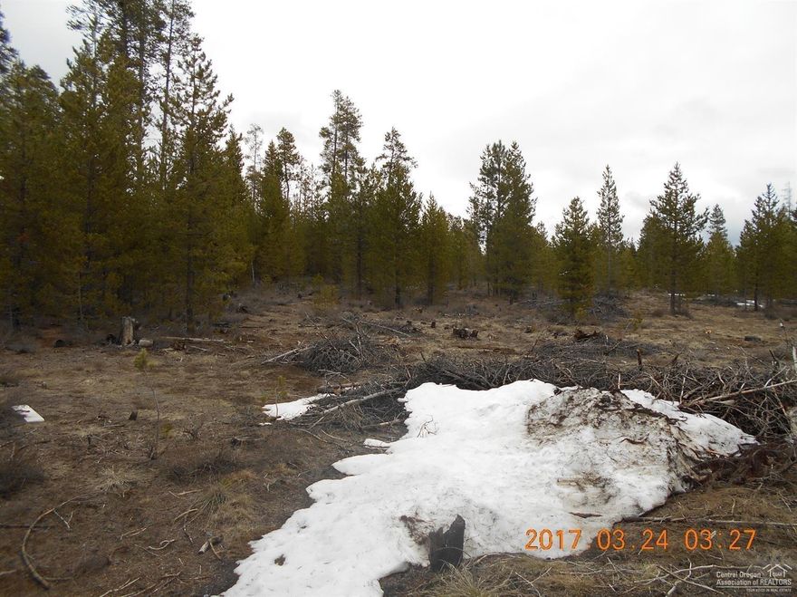 Nice flat lot that has power, well, and septic installed. Bring the RV and stay the whole summer. Live in your RV while you build your dream home! Close to all the rivers, lakes, and streams!