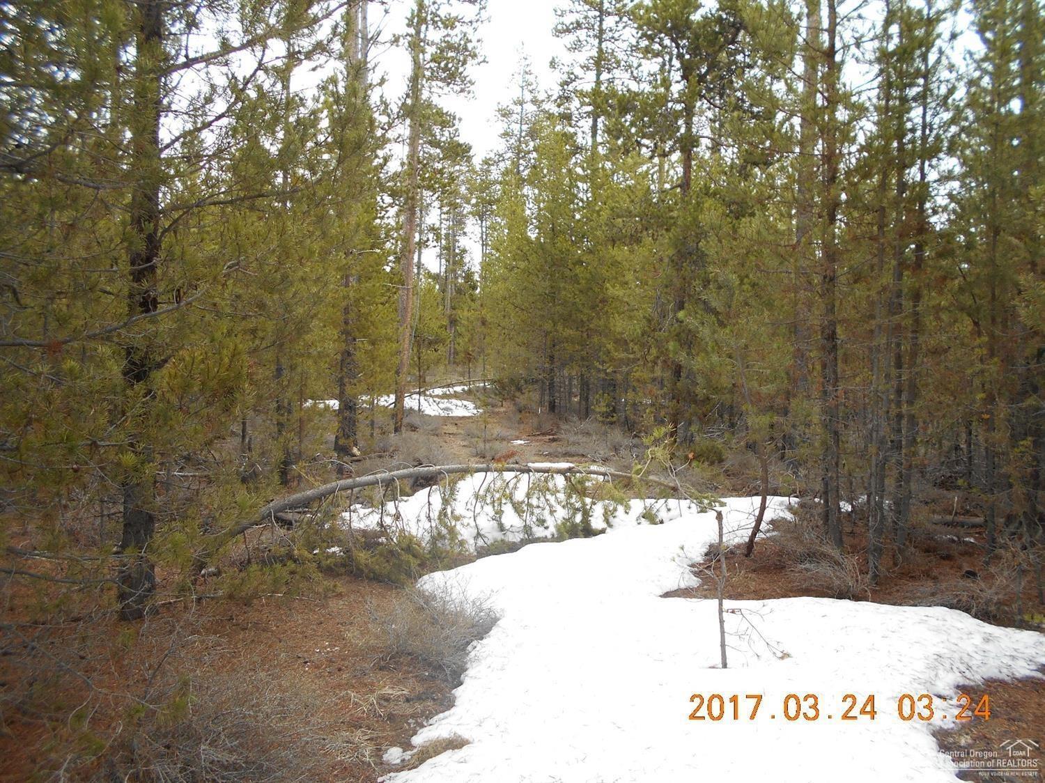 Terra De Oro Est - Land