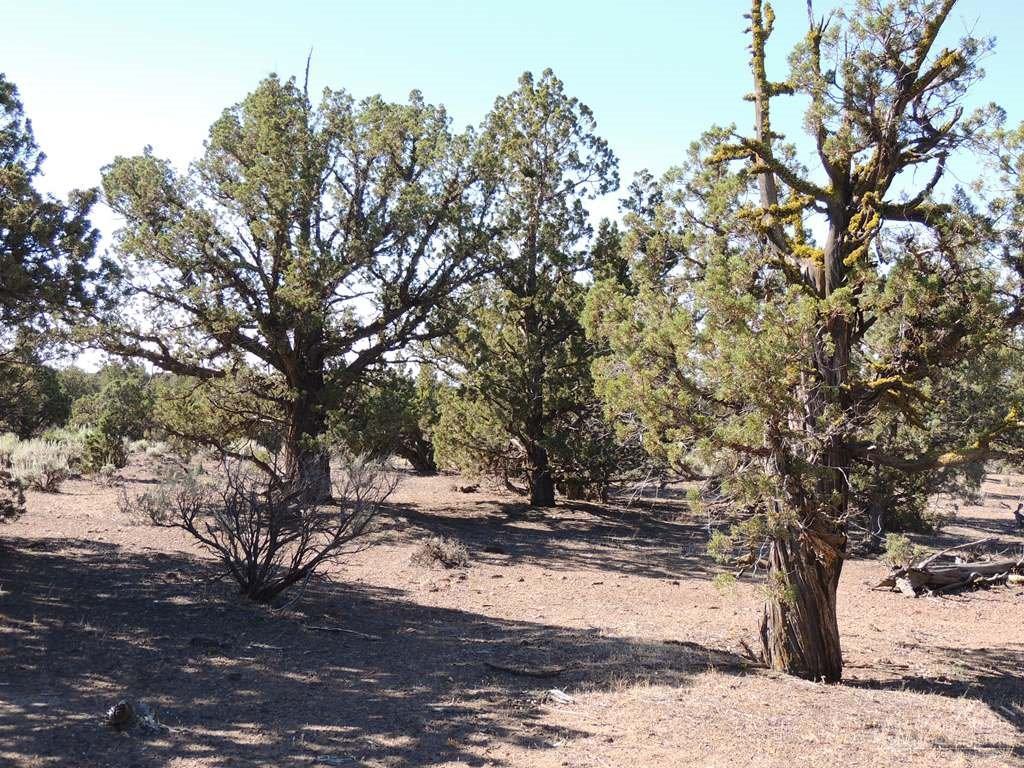 Brasada Ranch - Land