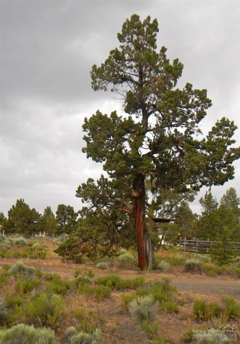 Bend Cascade View - Residential