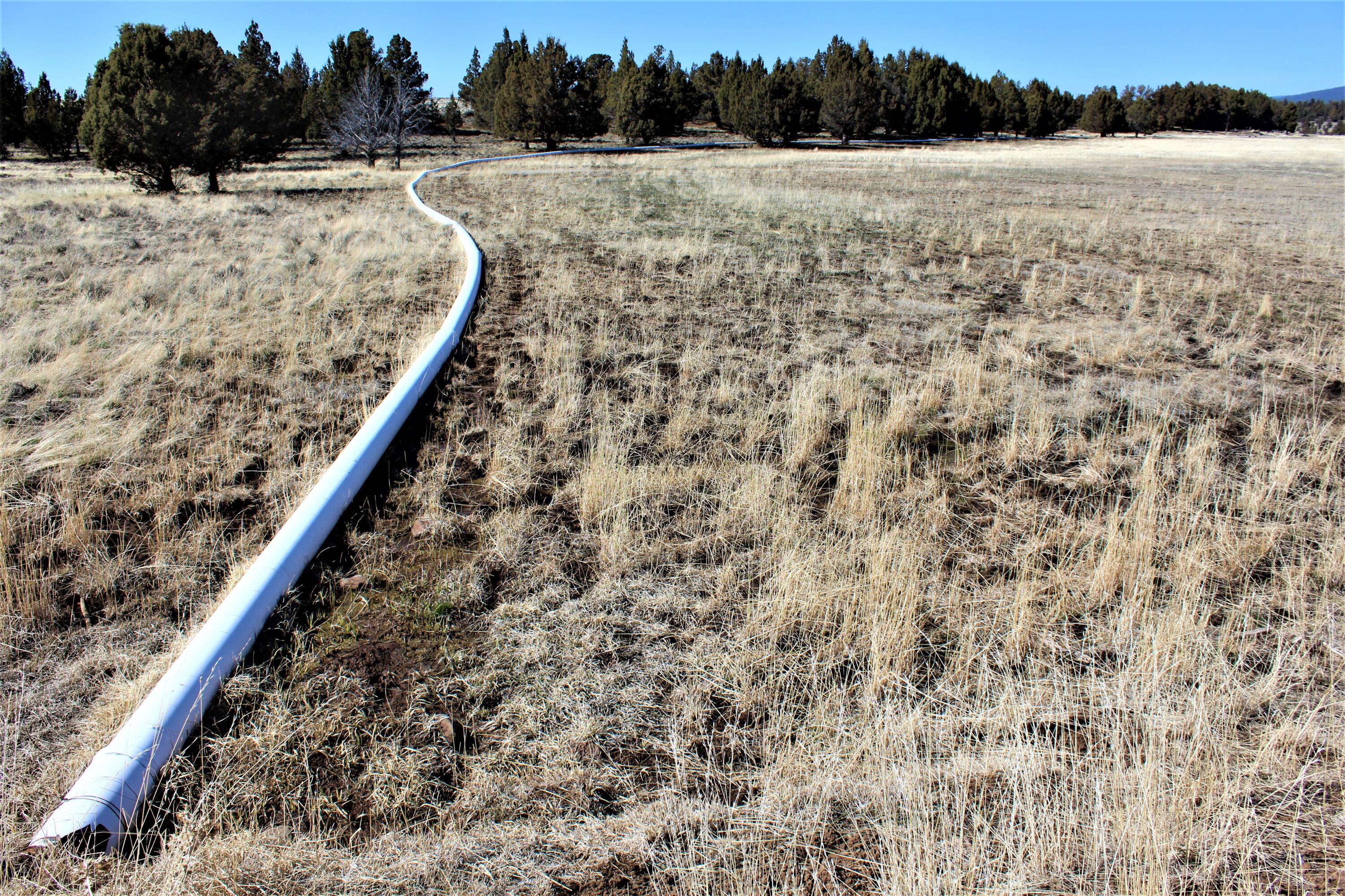 Klamath Country - Farm
