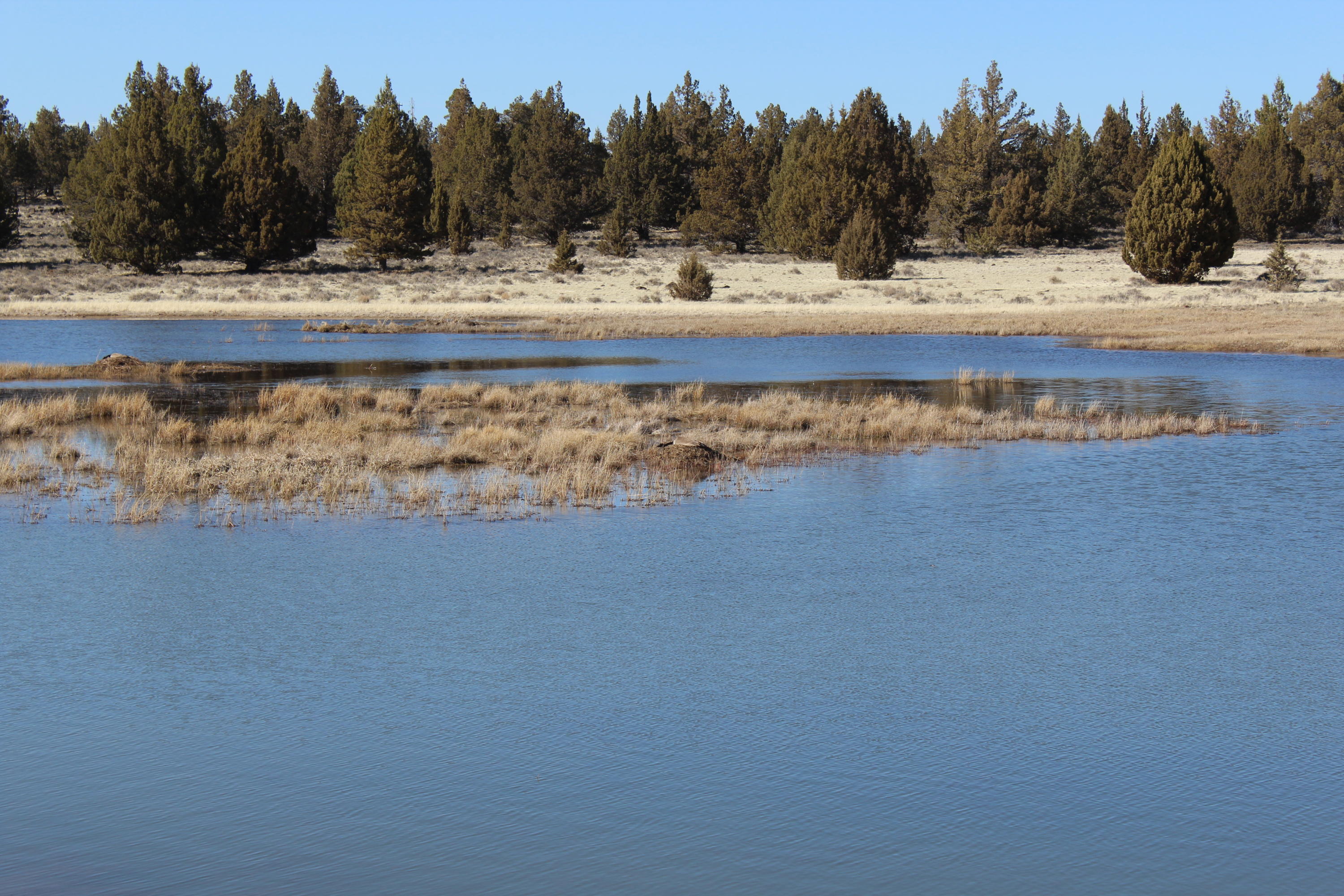 Klamath Country - Farm