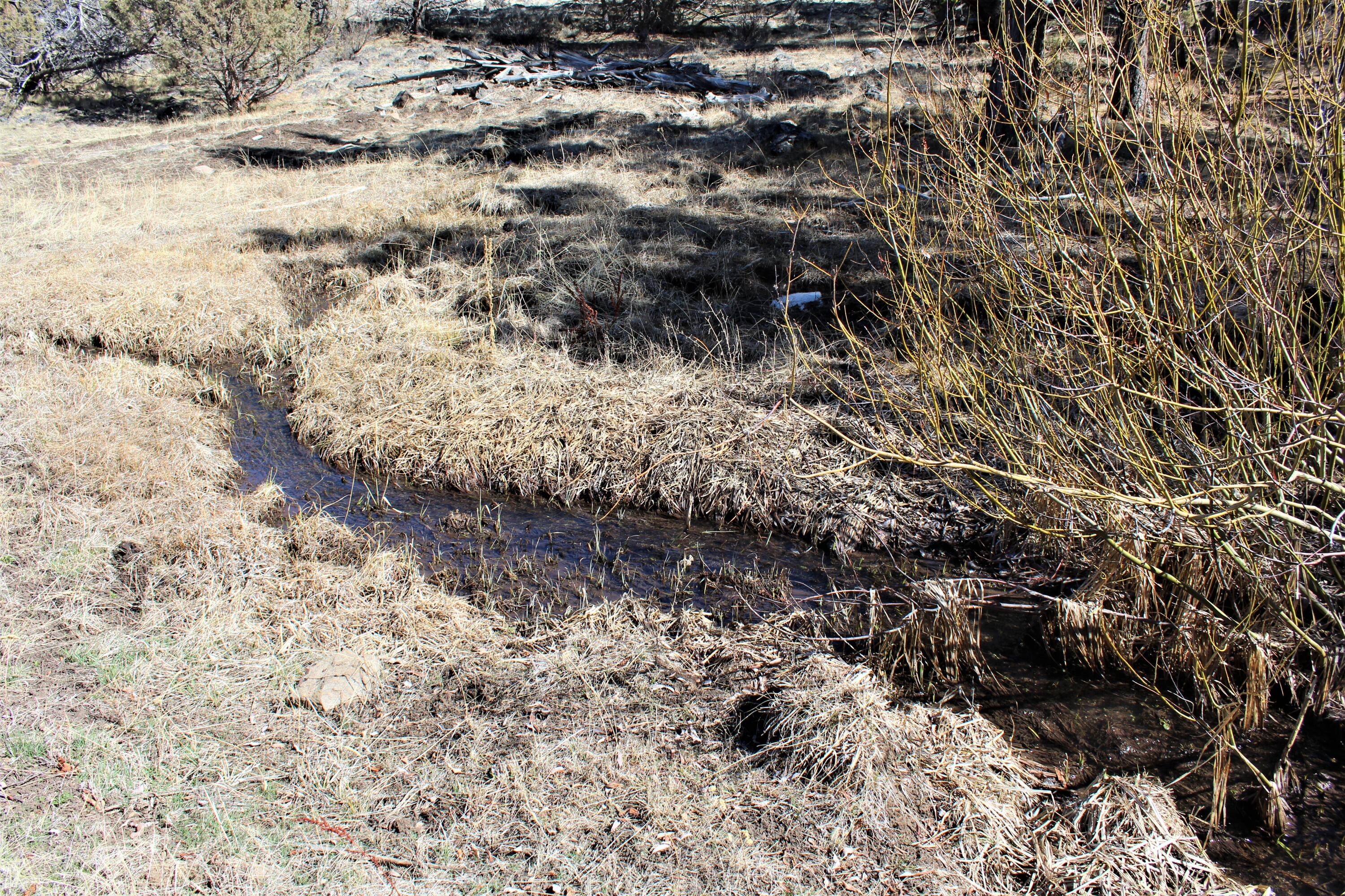 Klamath Country - Farm