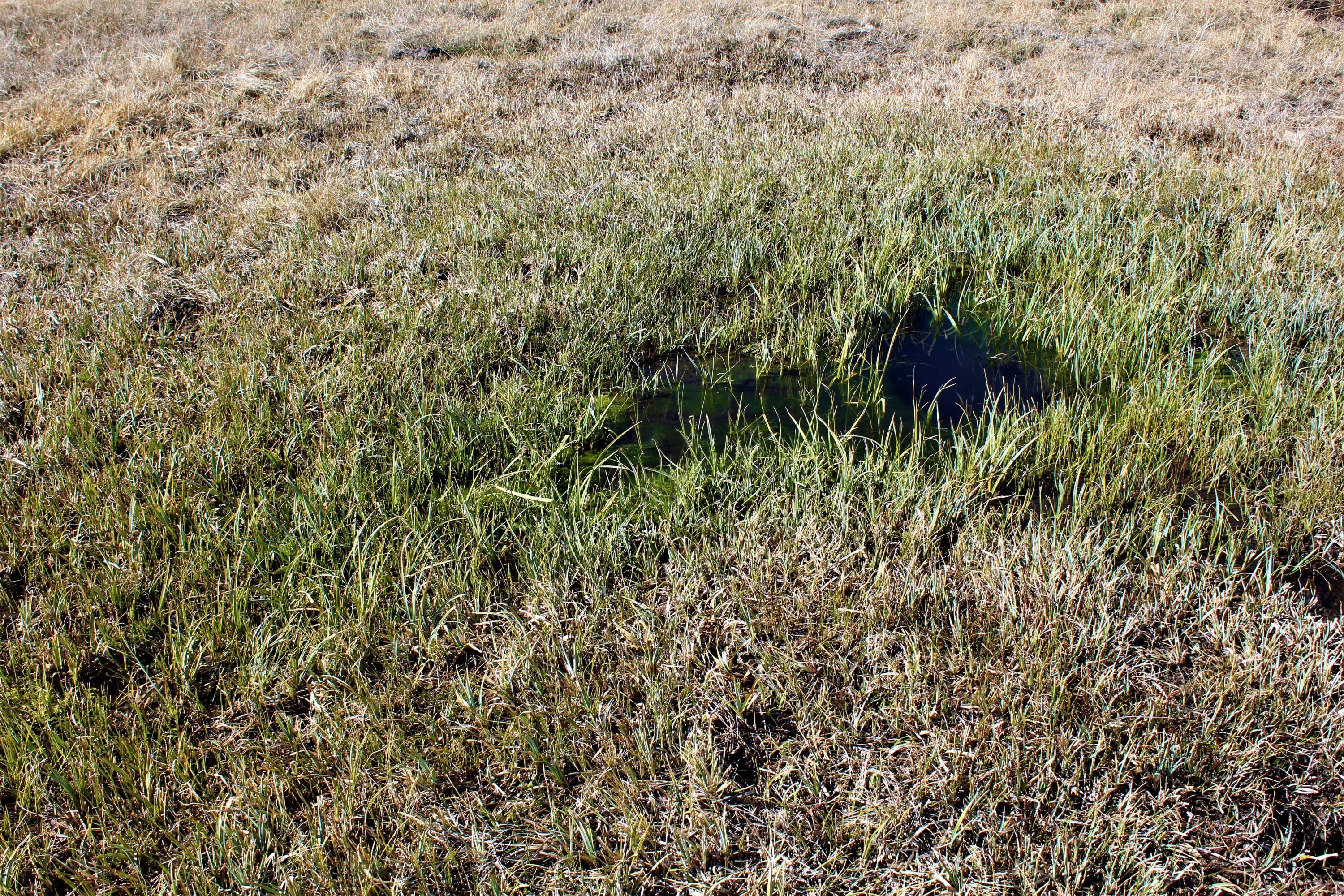 Klamath Country - Farm