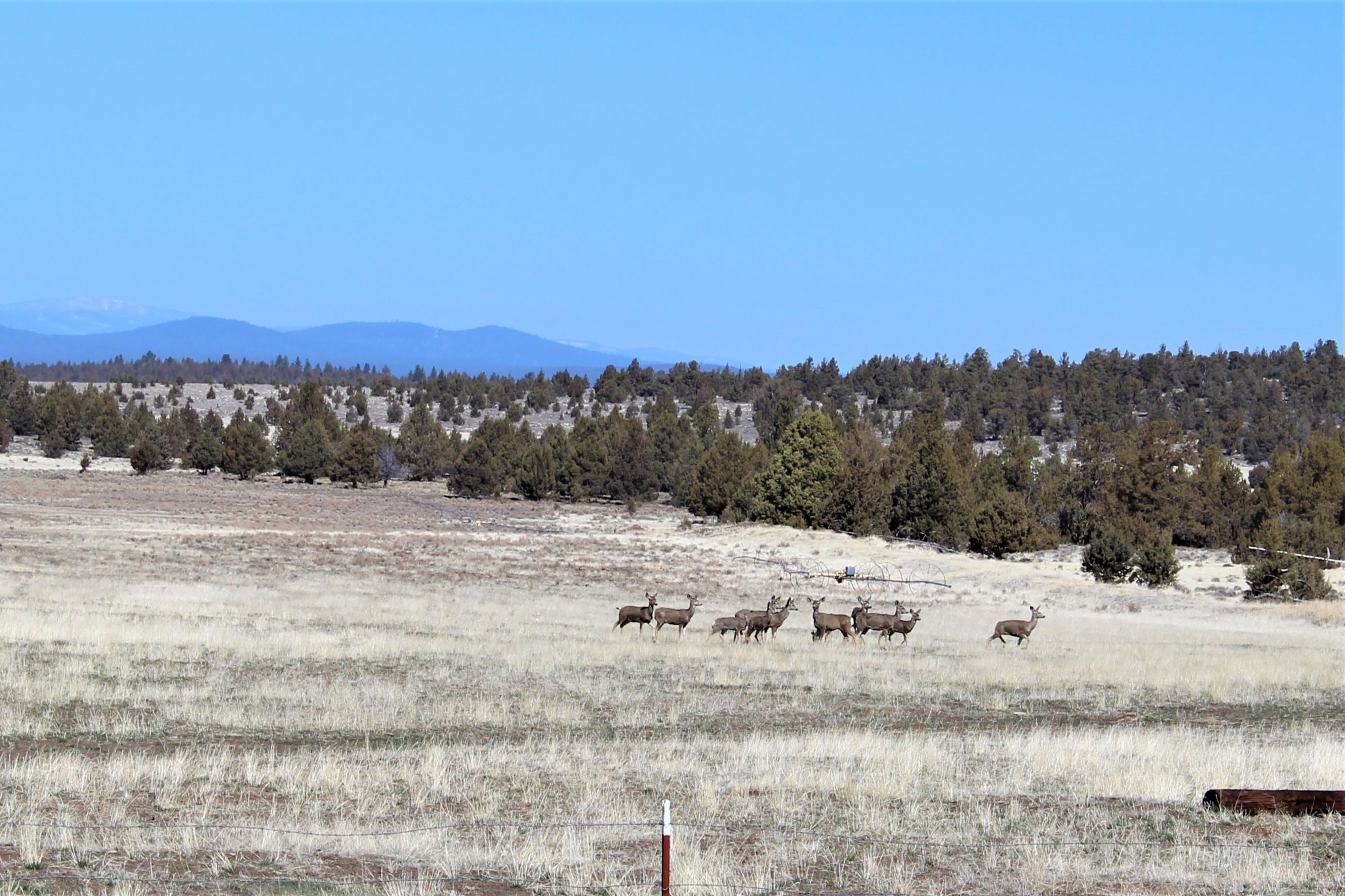 Klamath Country - Farm