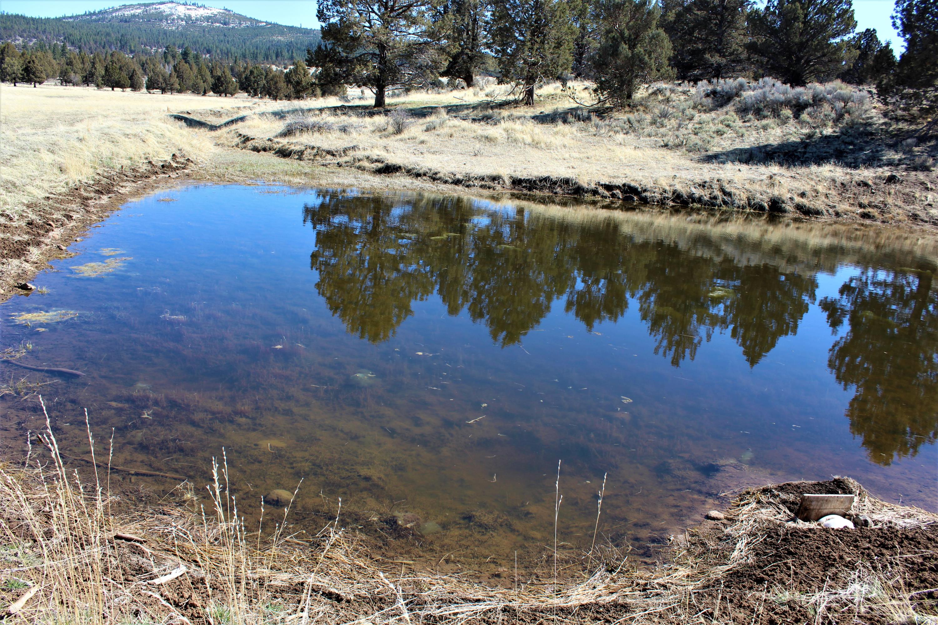 Klamath Country - Farm