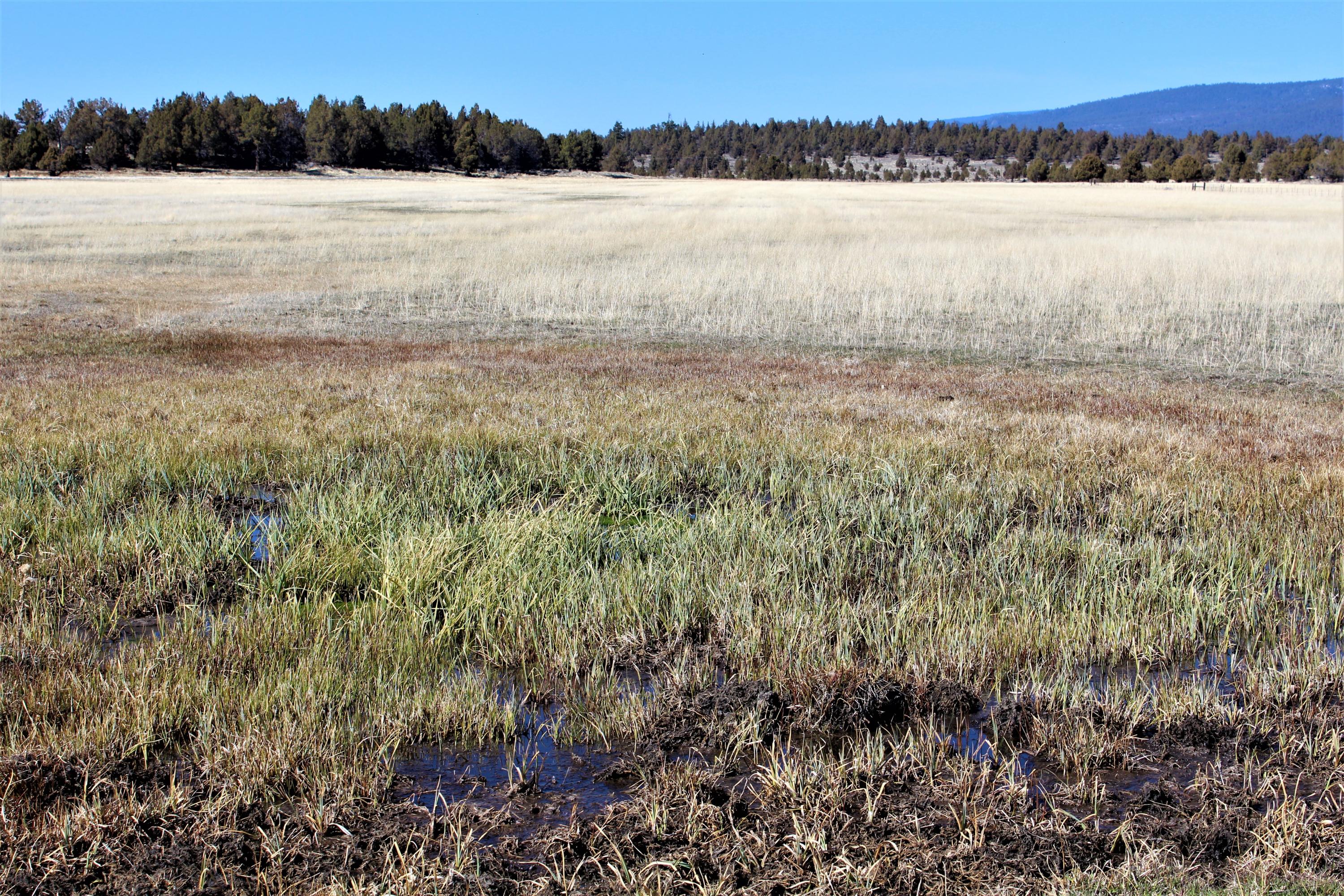 Klamath Country - Farm
