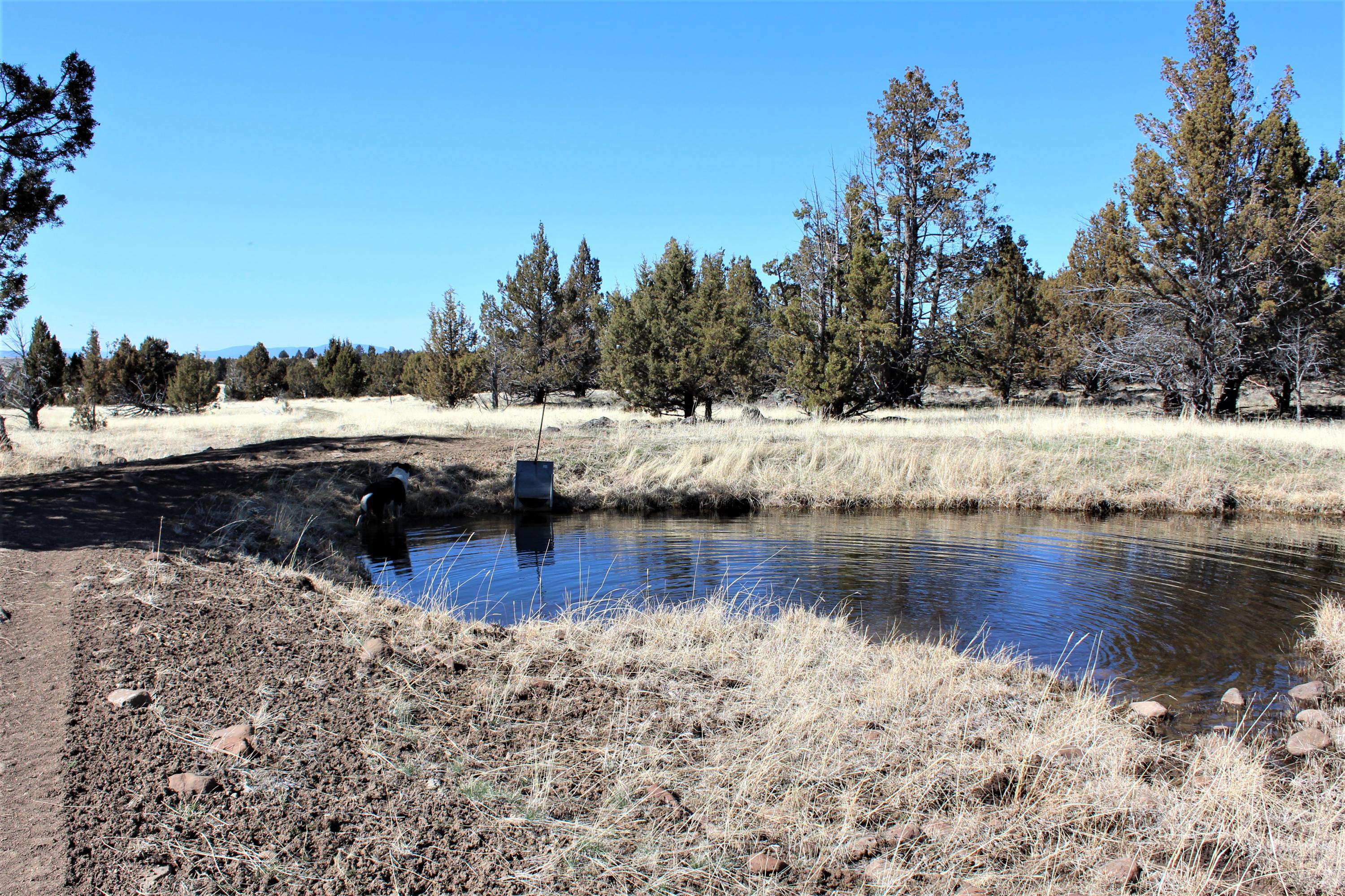 Klamath Country - Farm