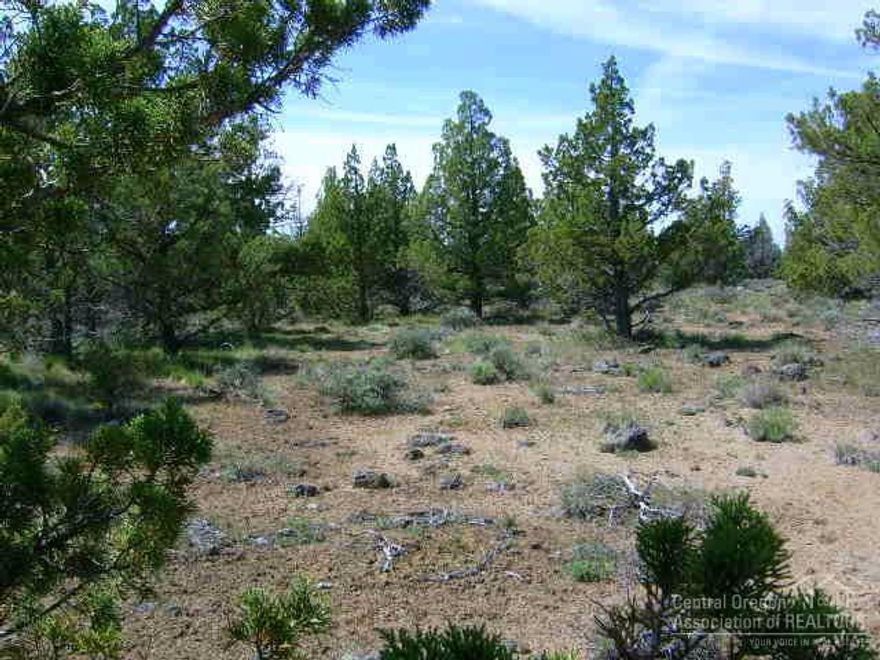 Come join this great neighborhood of nice stick built homes! This 5 acre property is on a paved street and zoned for horses. The power is to the property line, the septic has been approved for a capping fill system and it has a shared well in place. Buy now and watch the eclipse from your own property.