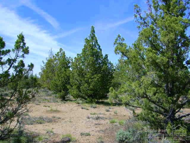 Lost Lake Estates - Land