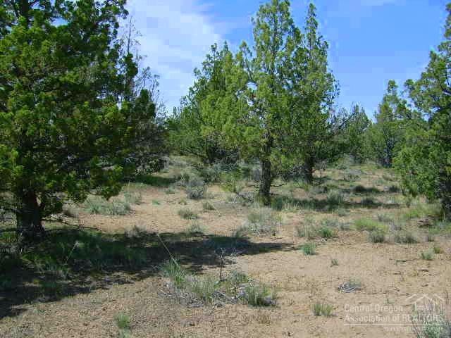 Lost Lake Estates - Land