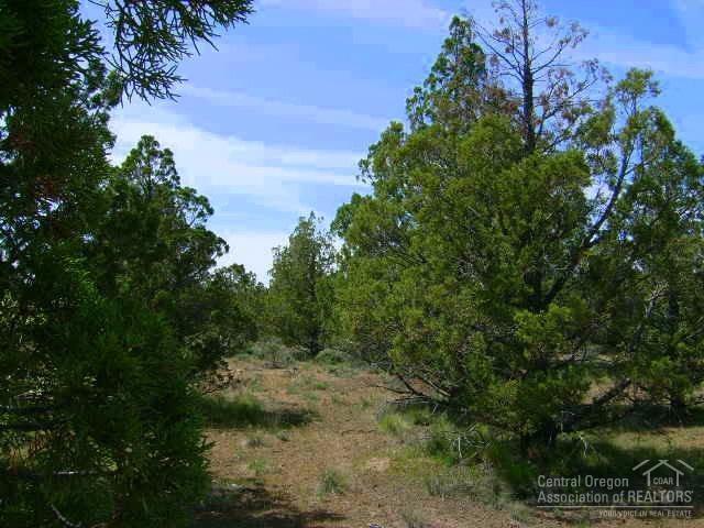 Lost Lake Estates - Land