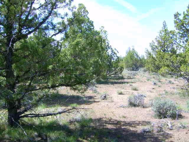 Lost Lake Estates - Land