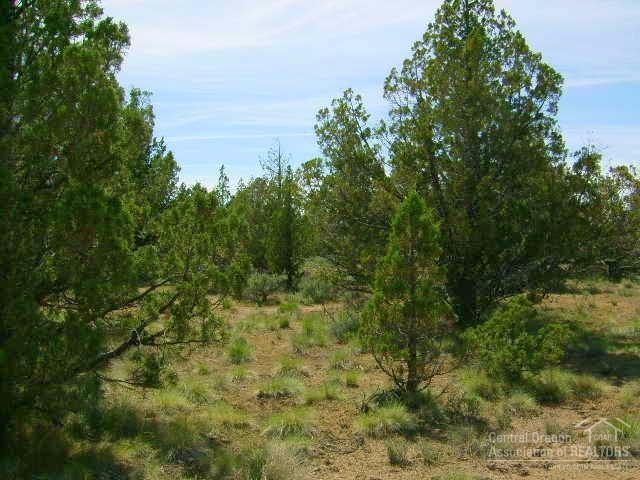 Lost Lake Estates - Land