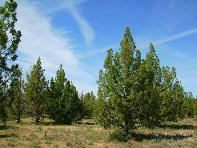 Lost Lake Estates - Land