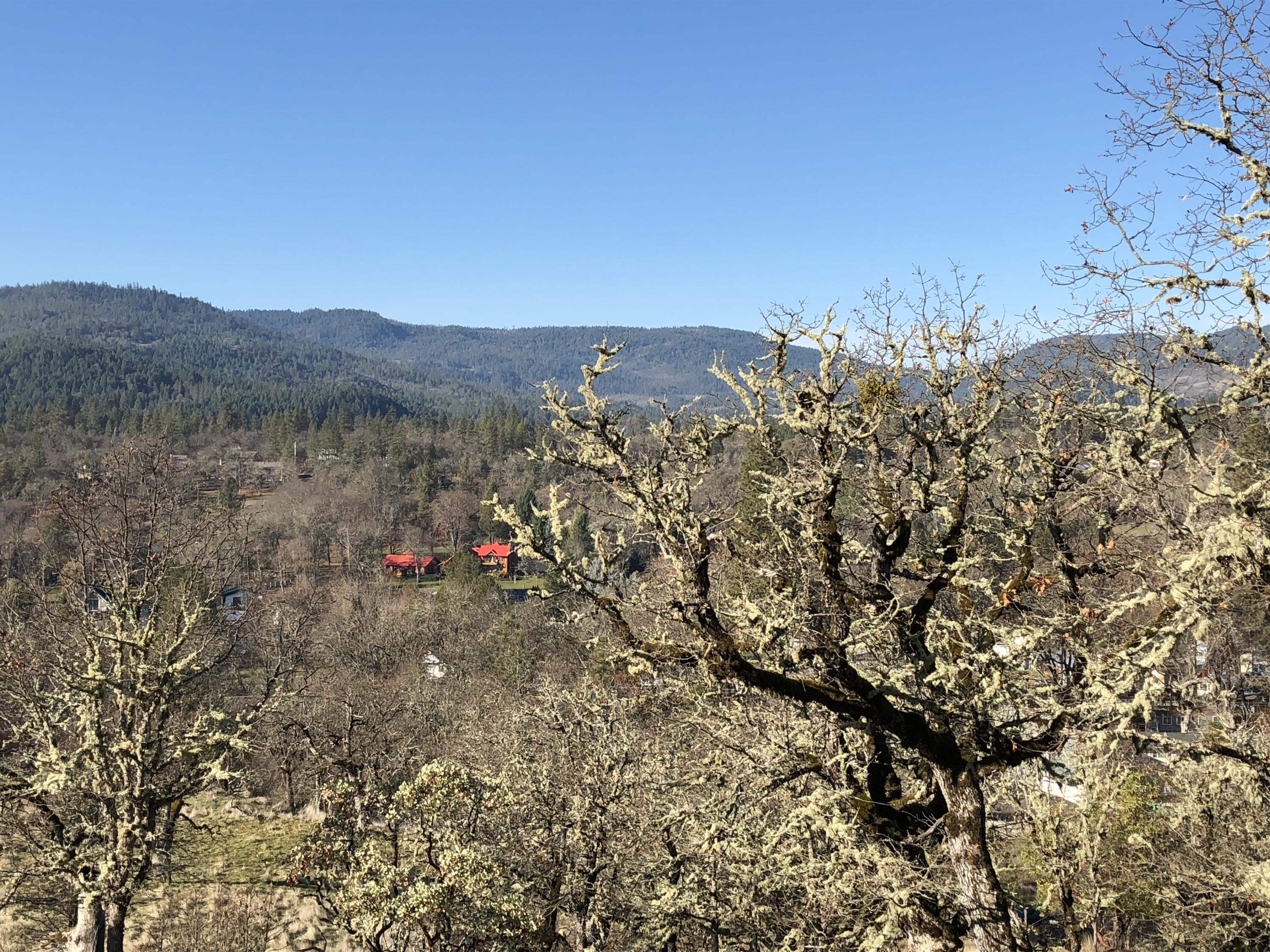 Manzanita Hills - Land