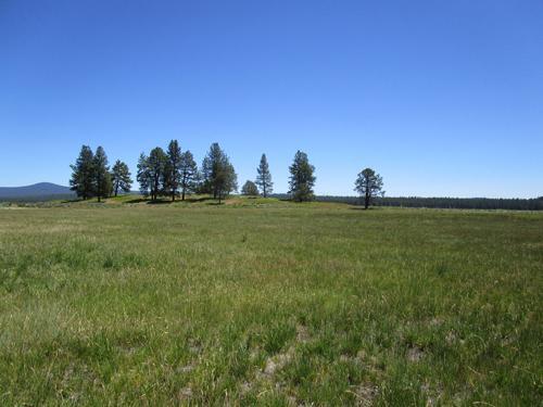 Chiloquin - Land