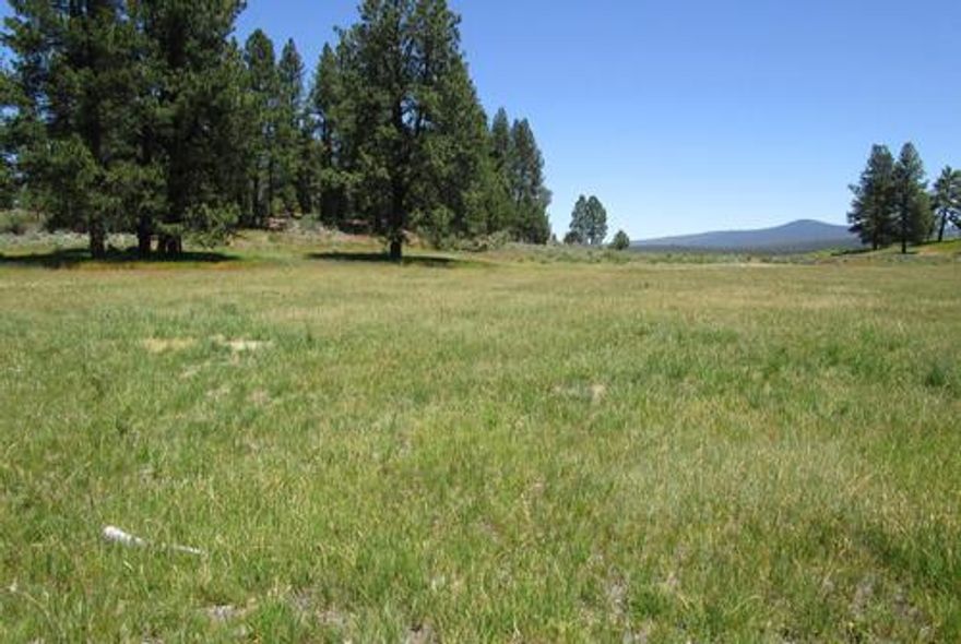 Great find 10 Acres buildable lot  out of town. Zoned R2 some pasture. in Tract1118. You could place a manufactured or build a nice home. Perhaps raise a few animals,horse,cow or even kids. Some trees and a View of the bordering ranch. In a .ranching community . Would need a well and septic.

buyer to do own due diligence