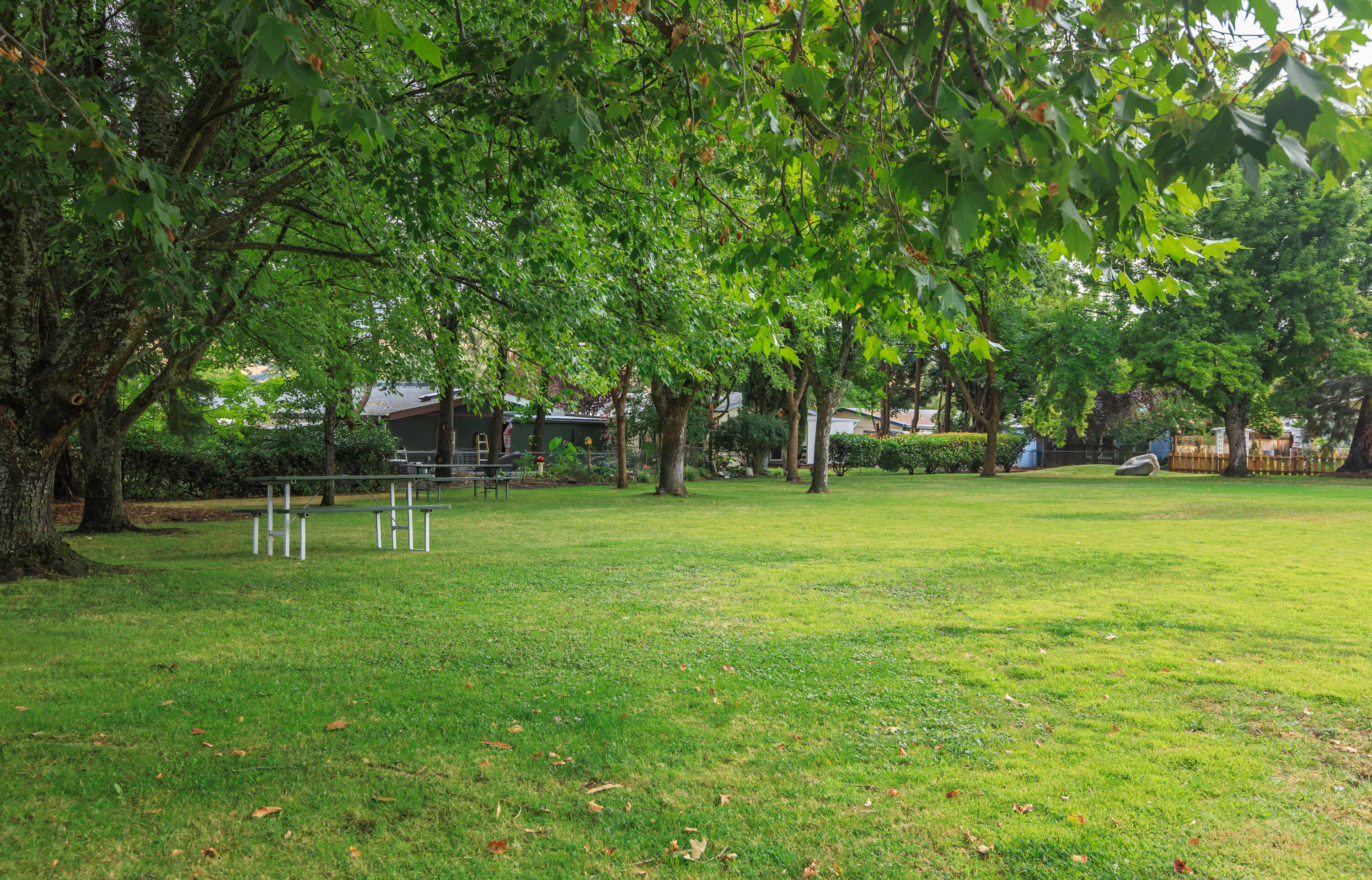 Tolman Creek Meadows Phase 1 - Residential