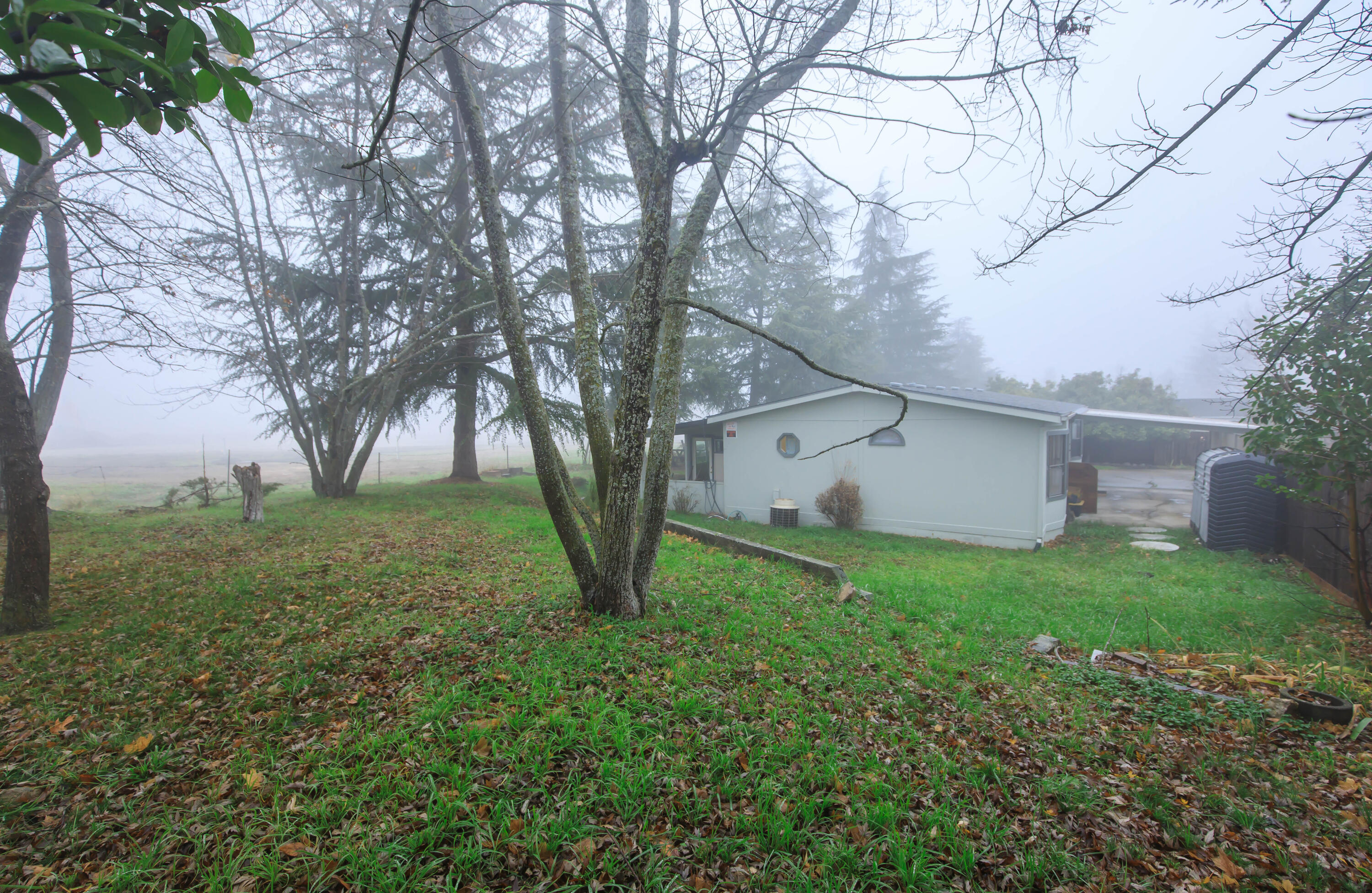 Tolman Creek Meadows Phase 1 - Residential