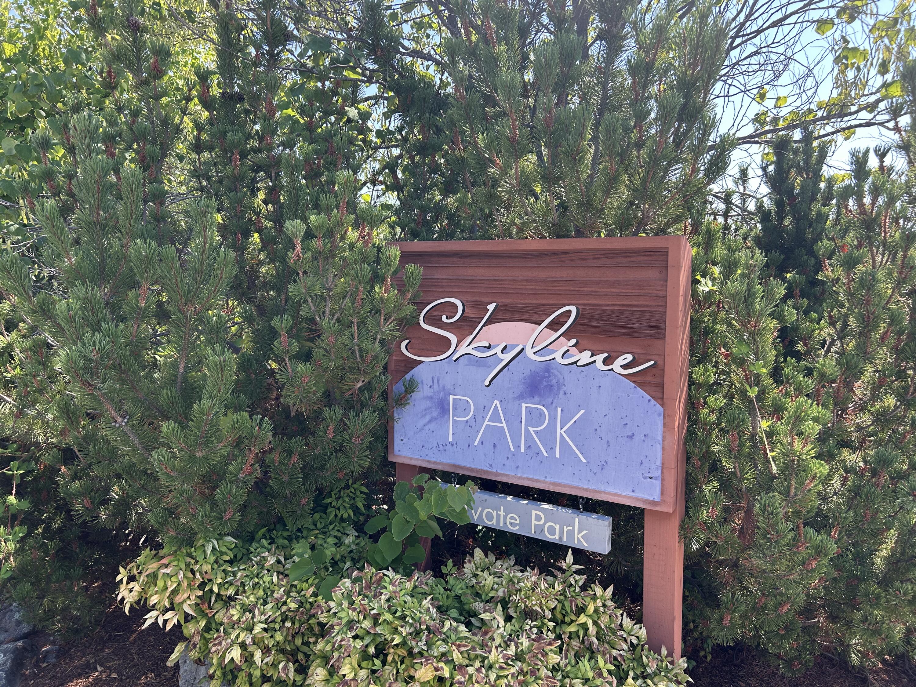 Skyline Phase 1 - Land