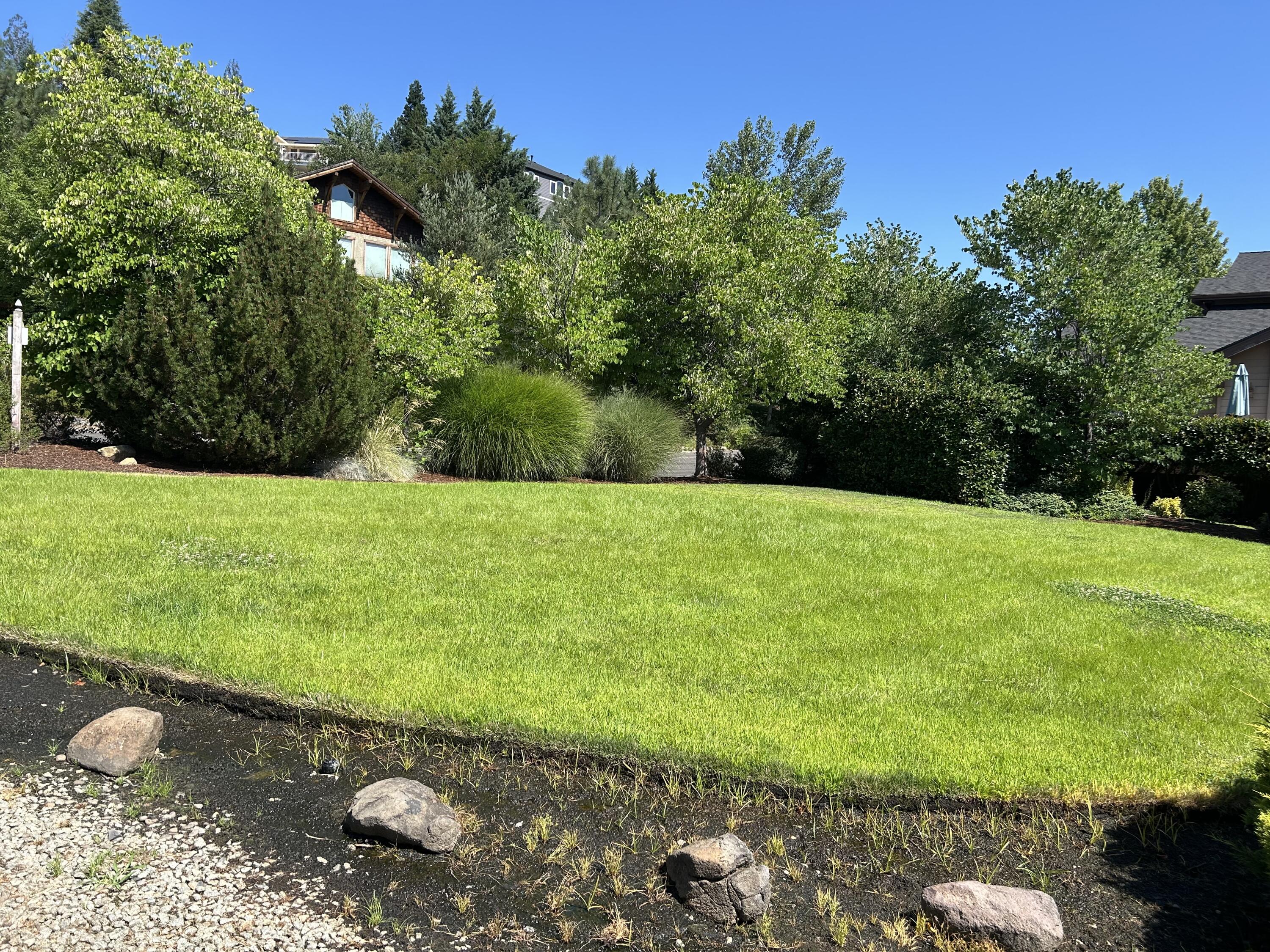 Skyline Phase 1 - Land