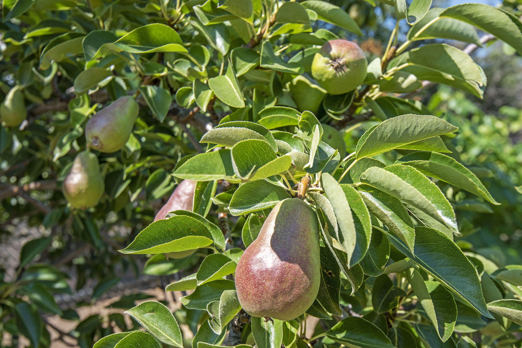 North Rim - Residential