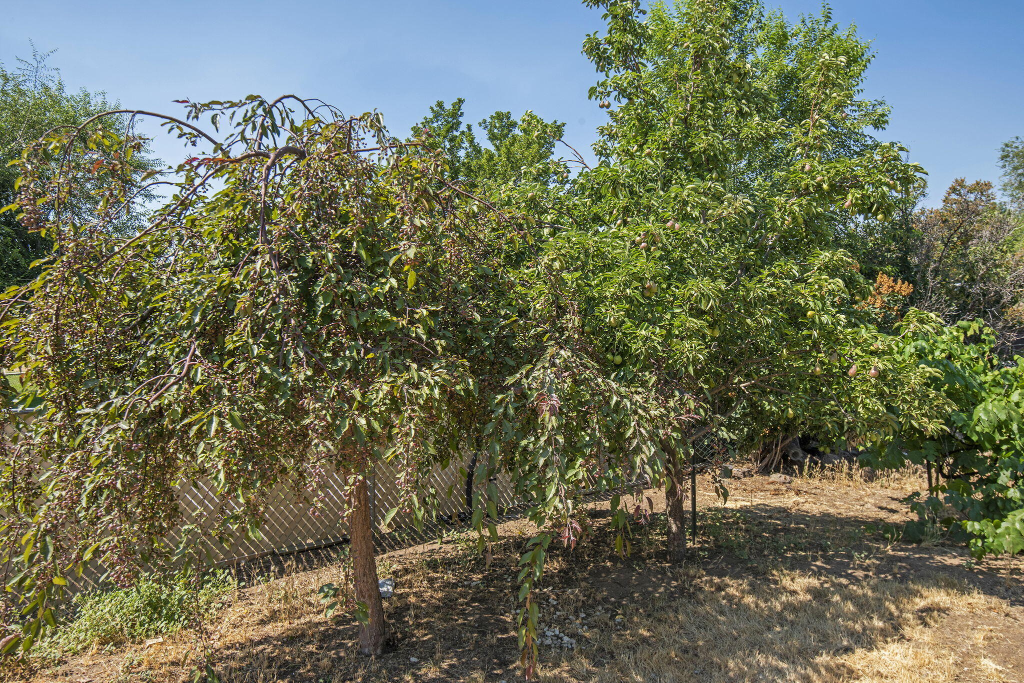 North Rim - Residential