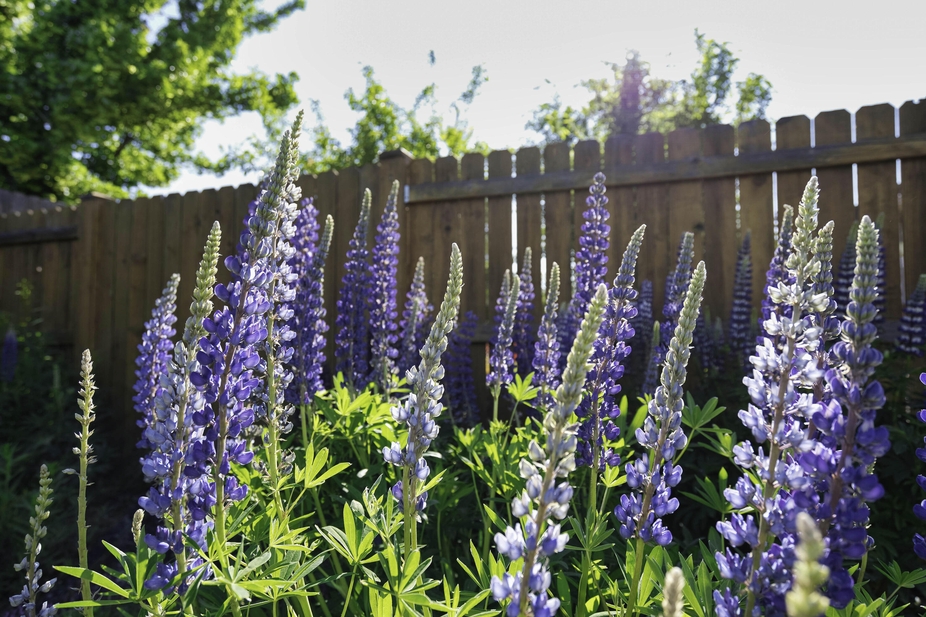 Village Pointe - Residential