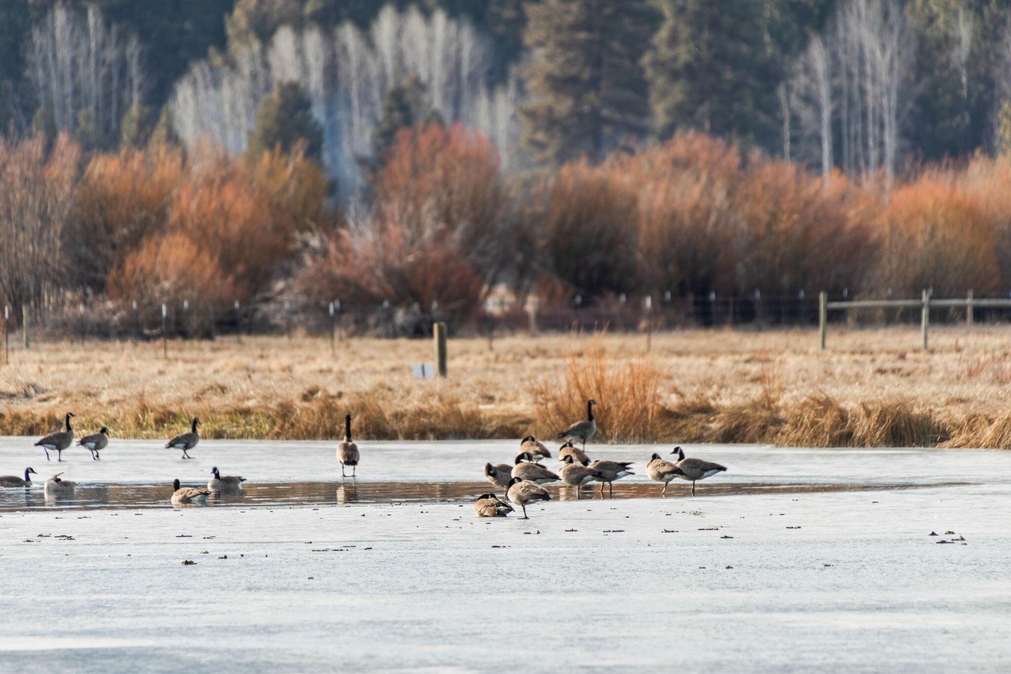 Black Butte Ranch - Residential