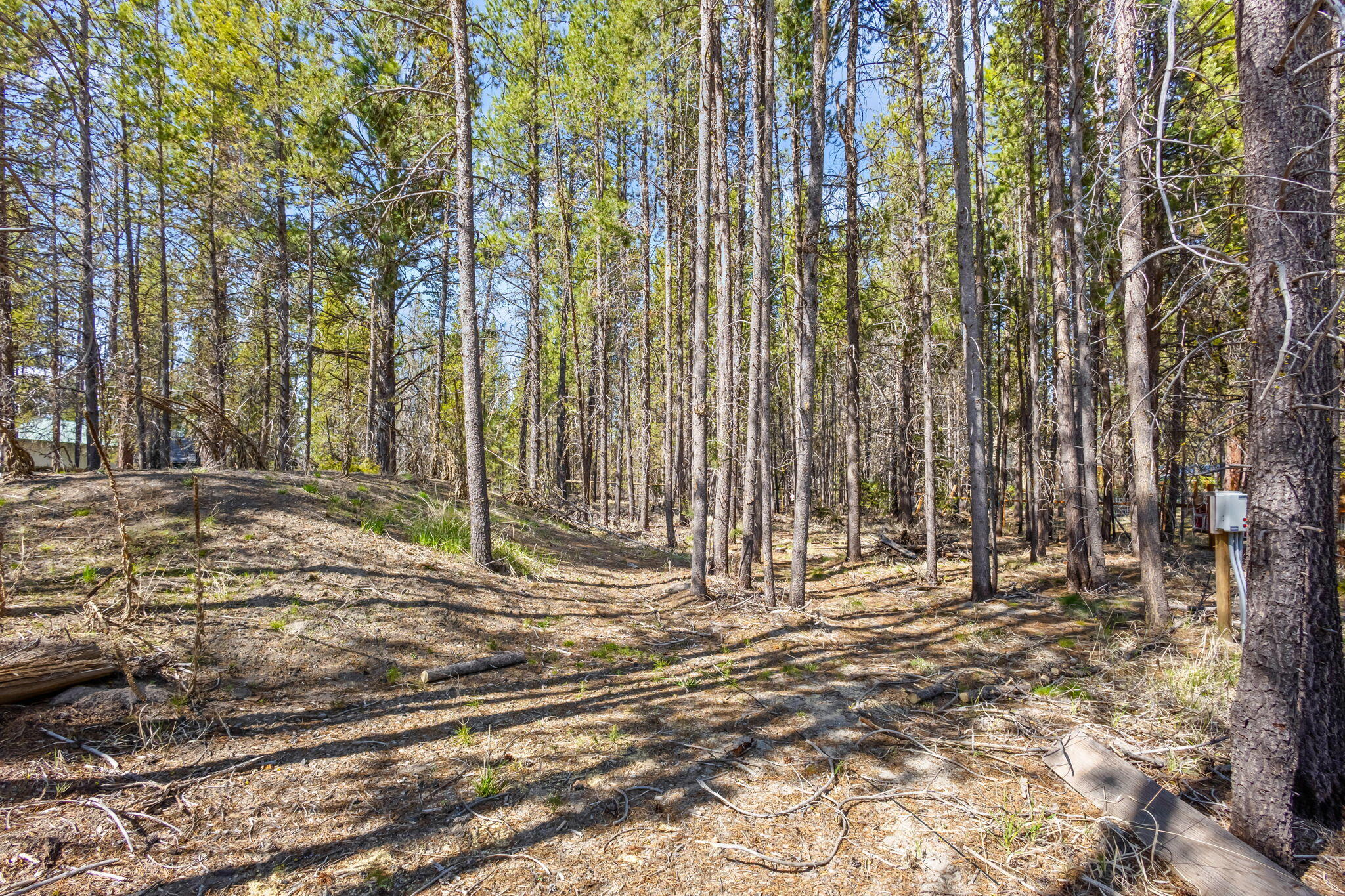 Bend, Oregon 97707, United States, 3 Bedrooms Bedrooms, ,2 BathroomsBathrooms,Residential,Active,115157