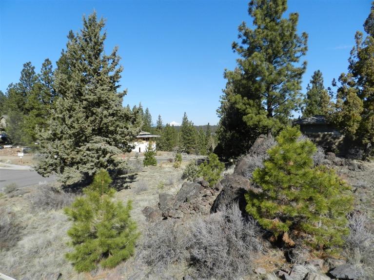 Skyliner Summit - Residential