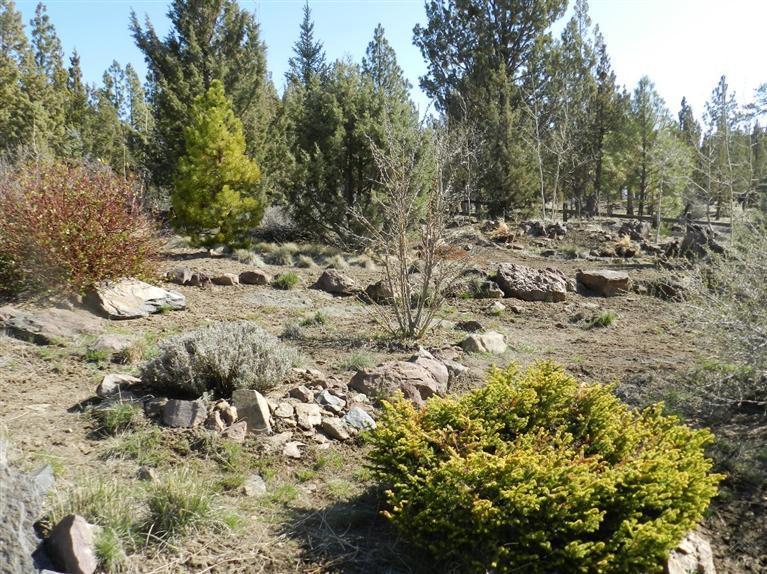 Skyliner Summit - Residential