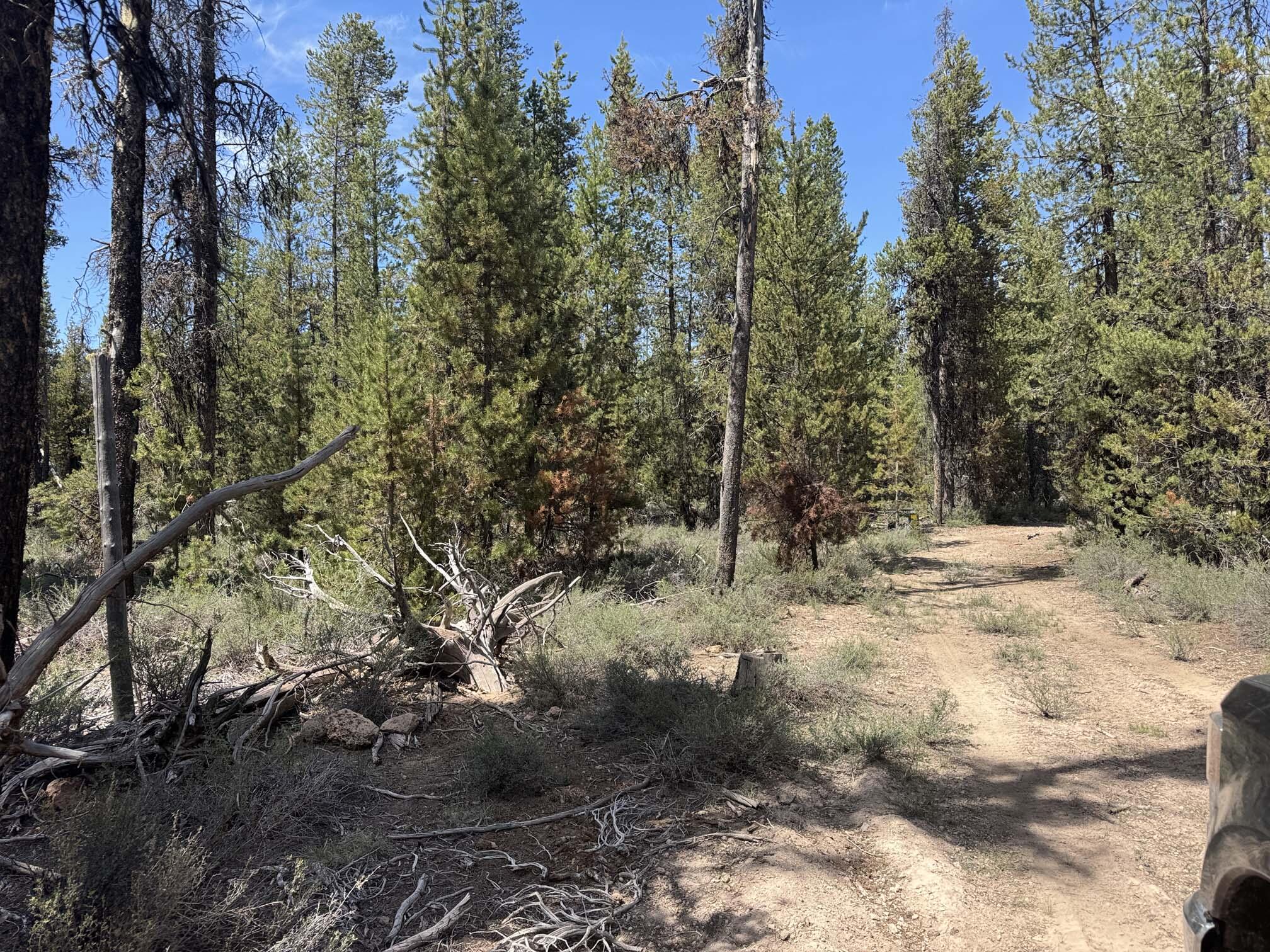 Bear Flat Road 3200