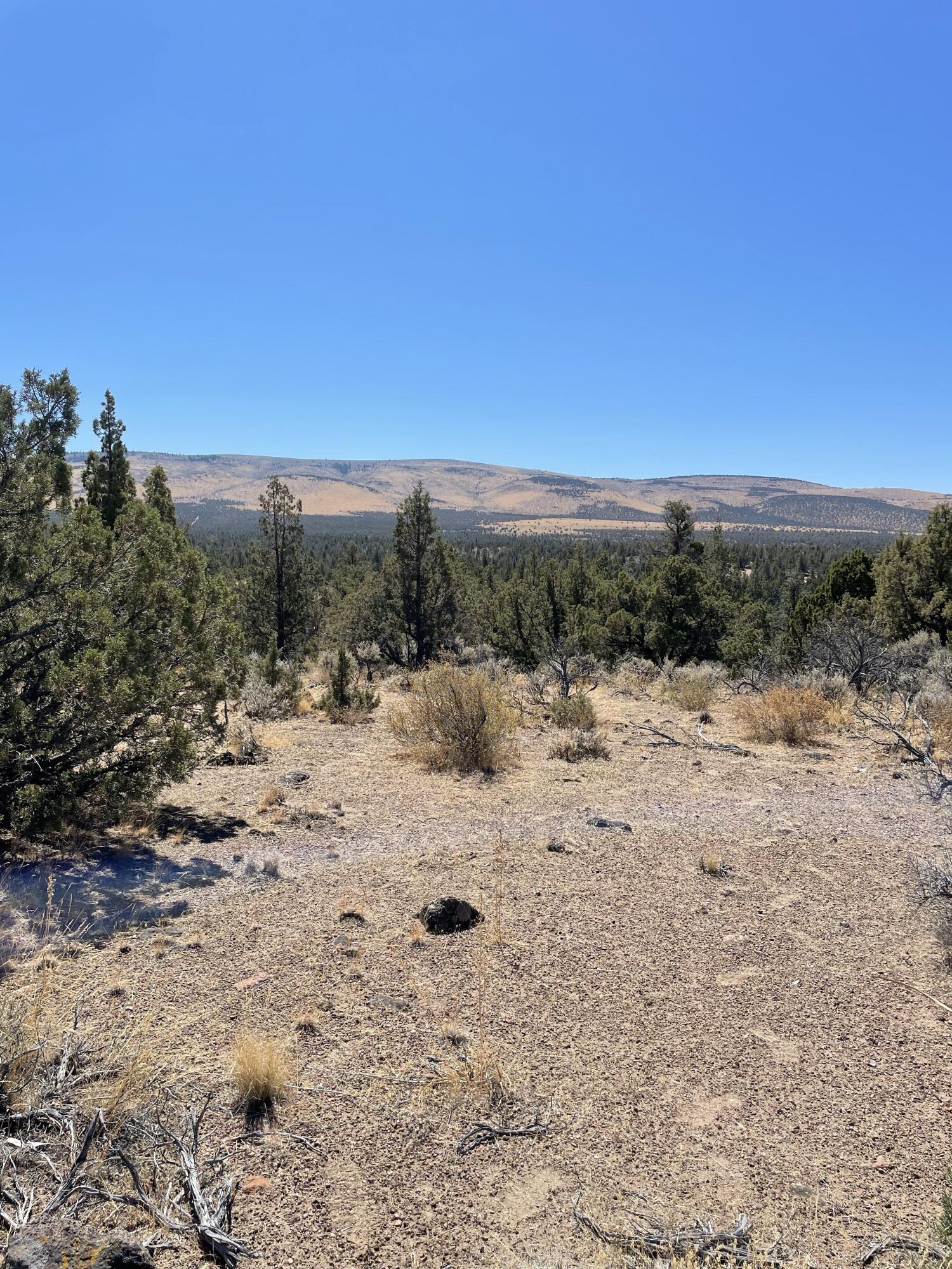 Juniper Acres - Land