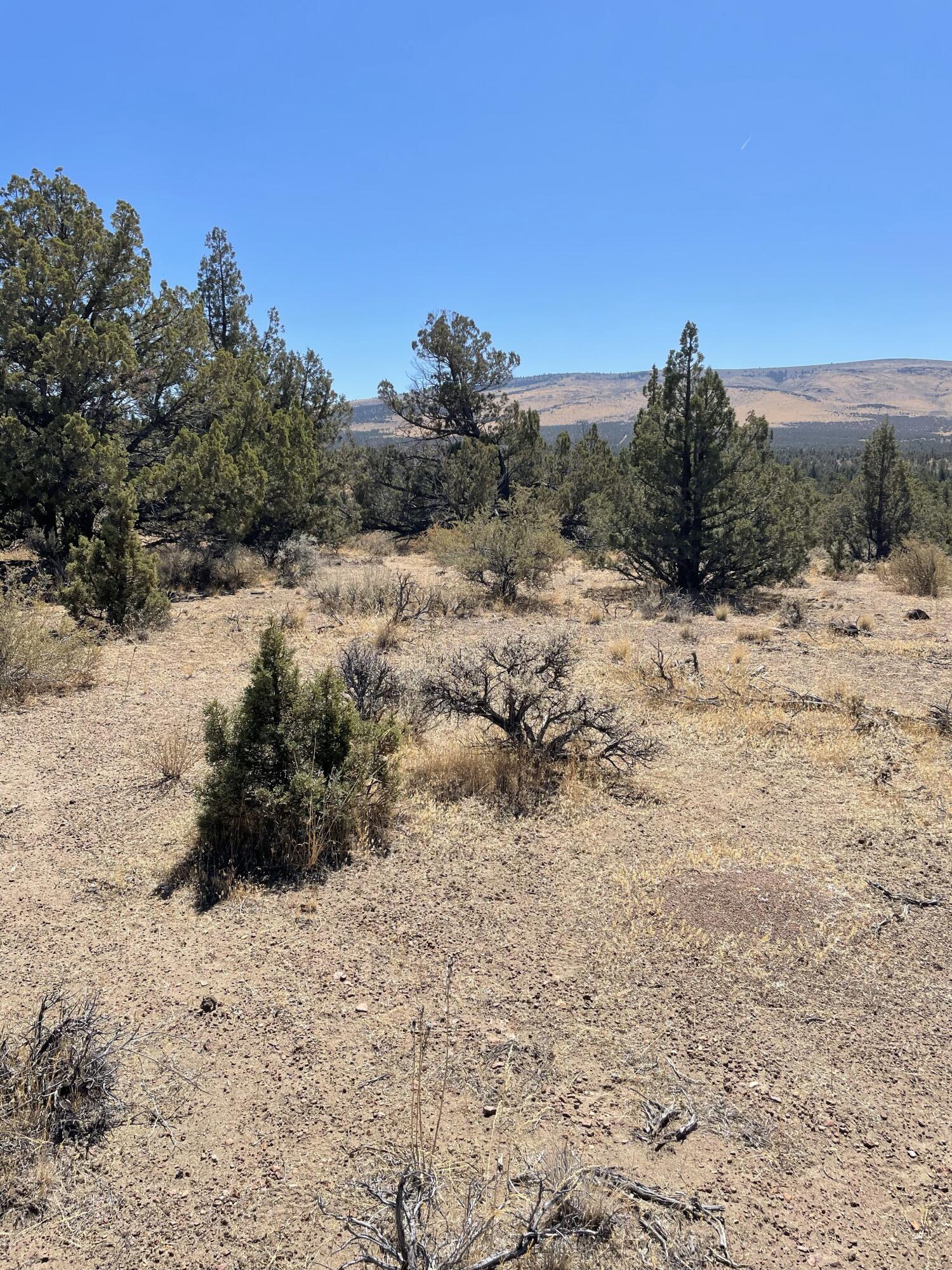 Juniper Acres - Land