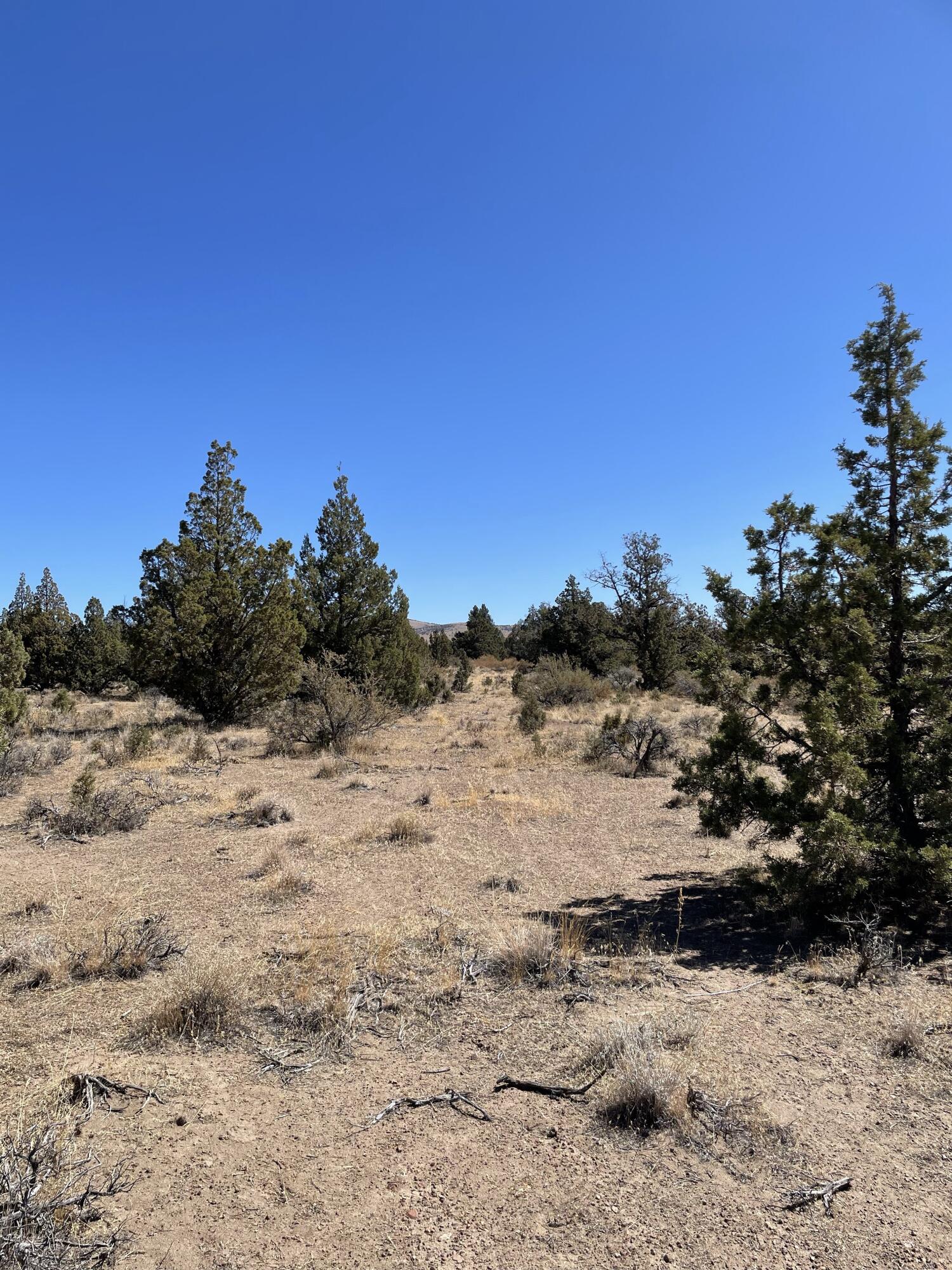 Juniper Acres - Land