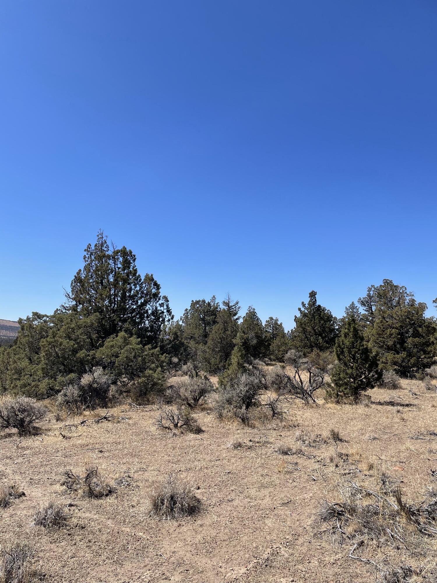 Juniper Acres - Land